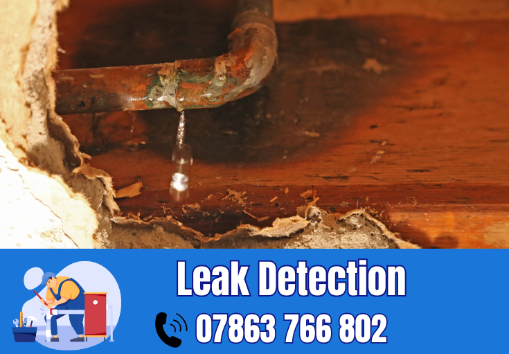 leak detection Hale